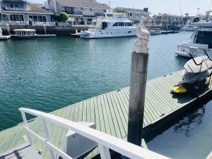 Dock For Rent At 40′ Boat Slip in Huntington Harbour