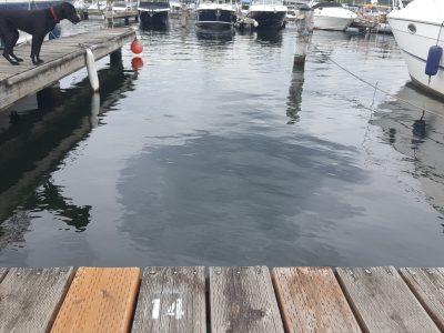 Dock For Rent At 35′ Slip Newport Shores Yacht Club